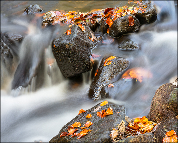 PG No 2 - Top Middle.jpg